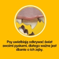 Pedigree Przysmak  DentaStix dla psa 7szt. 2.jpg