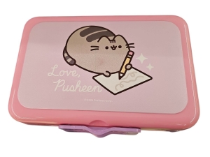 ST. MAJEWSKI Lunchbox śniadaniówka przegródki 17 x 13 x 6 cm PUSHEEN