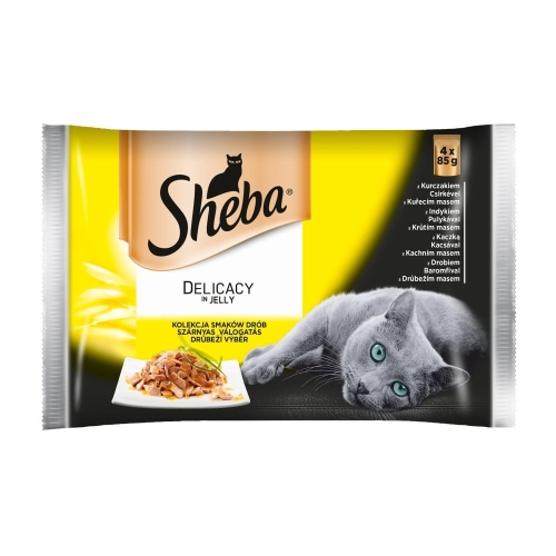 Zdjęcie 1
