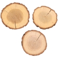 Plastry drewna dekoracyjne 8-11 cm  3 sztuki 3.jpg