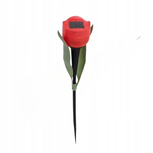 tulipanczer.jpg