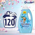 cocolino3a.jpg