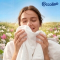 cocc2.jpg