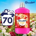 coccolinopeony1.jpg
