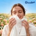 cocollinowater3.jpg