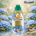 cocvcoli30.jpg