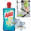 ajaxlaguna1.jpg