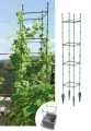 Podpora-Podporka-Roslin-KWIATOW-WARZYW-Kwadrat-29-X-29-X-120cm-Prosperplast.webp