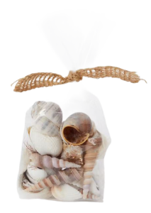 Dekoracyjne muszelki muszle biało-szare