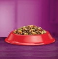 Whiskas Junior  Sucha karma dla kociąt Wołowina 1,4 kg  2.JPG