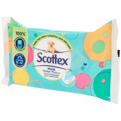 scottex.jpg
