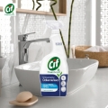 cifclean1.jpg