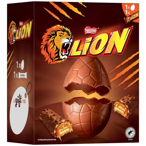 lion1.jpg