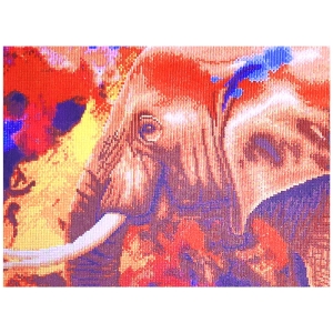 Malowanie diamentami 30.000 el. 40x60 cm Słoń Afryka