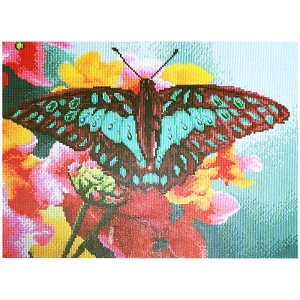 Malowanie diamentami 30.000 el. 40x60 cm Motyl na kwiatku