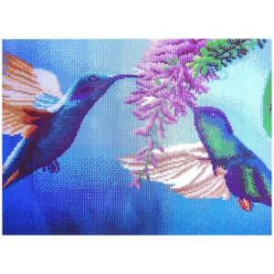 Malowanie diamentami 30.000 el. 40x60 cm Ptaki Koliberki