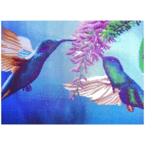 Malowanie diamentami 30.000 el. 40x60 cm Ptaki Koliberki