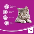 Karma dla kota Whiskas Adult 3+1 puszka 4x400g 251153 3.jpg